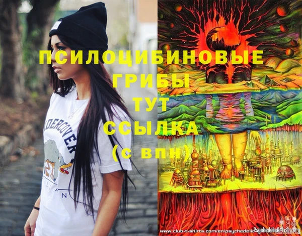 соль курить ск Белокуриха